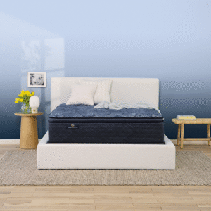 Serta Picturesque Firm