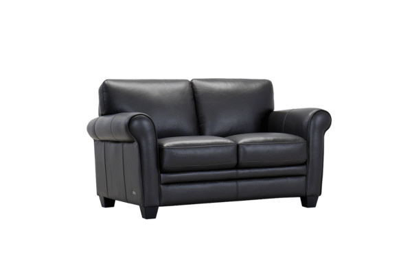 Marley Leather Loveseat - Image 4