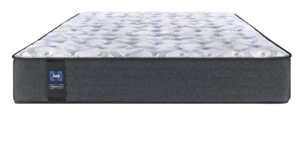 Sealy Selena Posturepedic Firm - Image 4